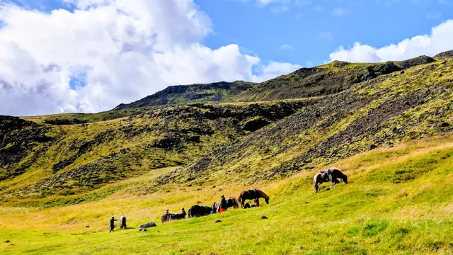 Iceland Golden Circle photo 20