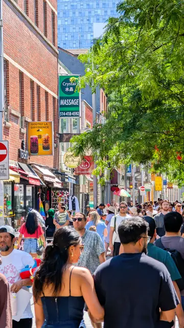Montreal Around the City photo 6