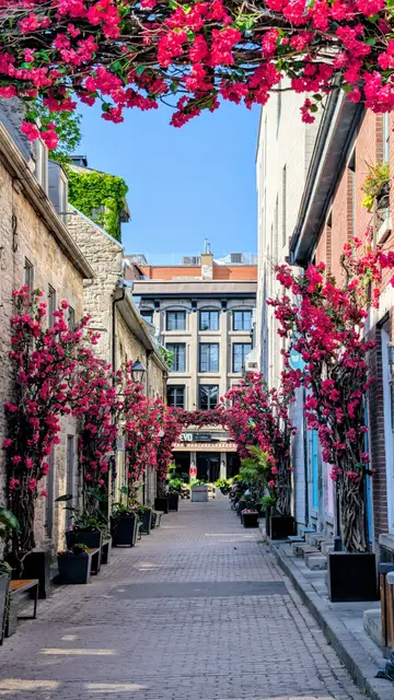 Montreal Old Montreal photo 3