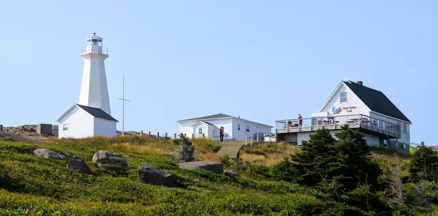 Newfoundland Cape Spear photo 2