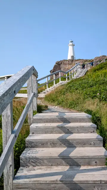 Newfoundland Cape Spear photo 12