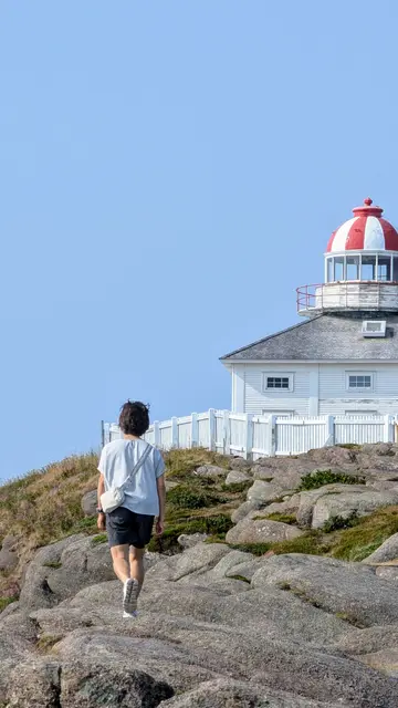 Newfoundland Cape Spear photo 13