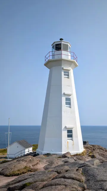 Newfoundland Cape Spear photo 14