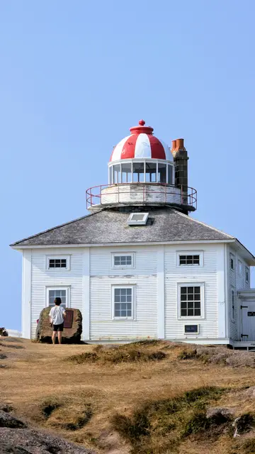 Newfoundland Cape Spear photo 15