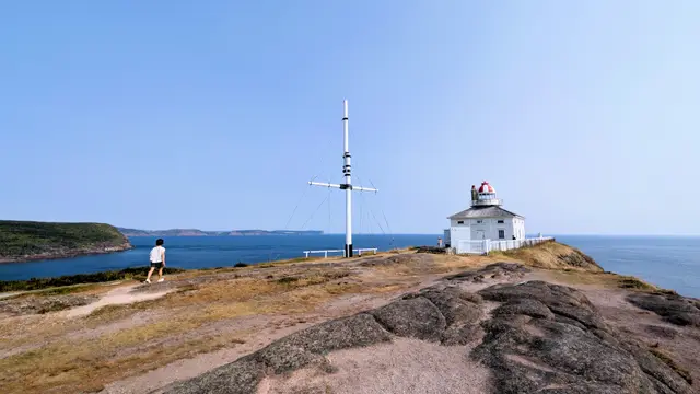 Newfoundland Cape Spear photo 19