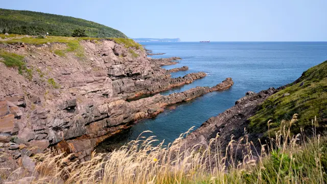 Newfoundland Cape Spear photo 22