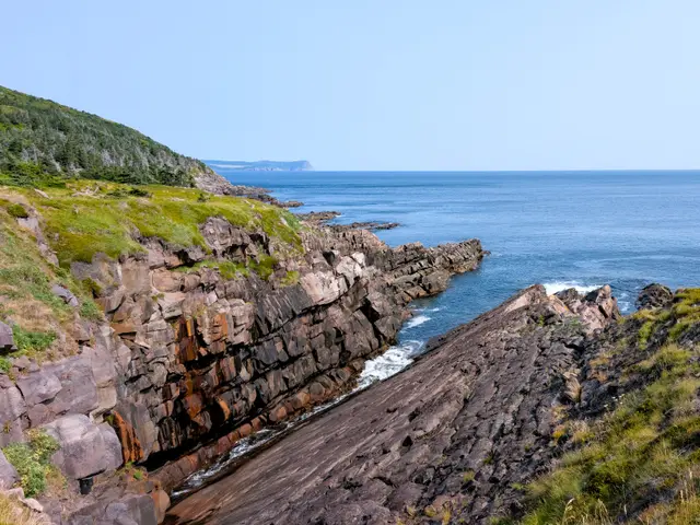 Newfoundland Cape Spear photo 23