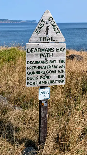 Newfoundland Cape Spear photo 26