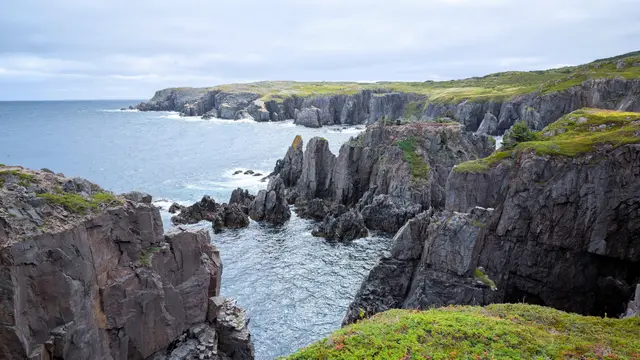 Newfoundland Dungeon & Spillars Cove photo 14