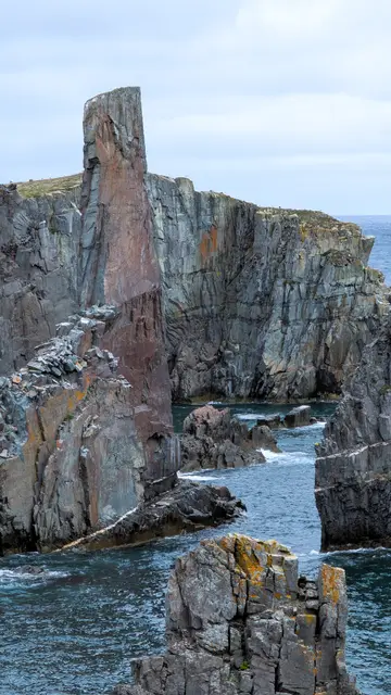 Newfoundland Dungeon & Spillars Cove photo 16