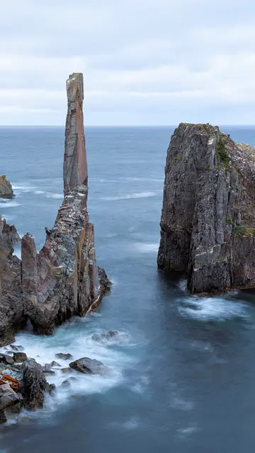 Newfoundland Dungeon & Spillars Cove photo 18