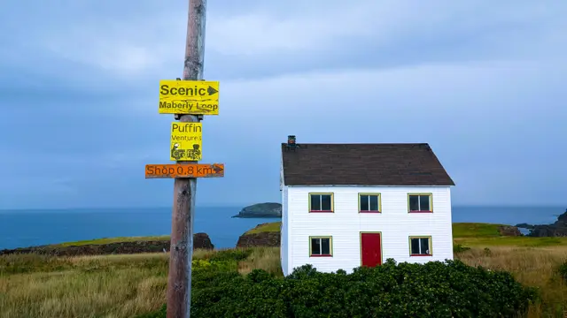 Newfoundland Elliston photo 1