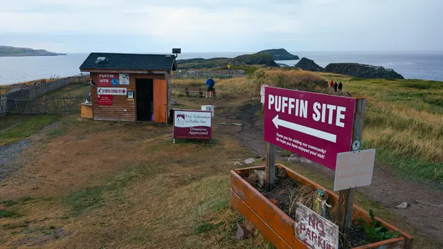 Newfoundland Elliston photo 2