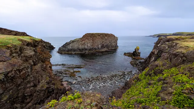 Newfoundland Elliston photo 4