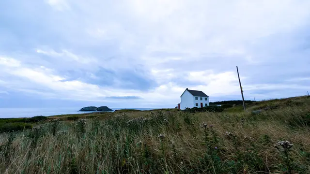 Newfoundland Elliston photo 9