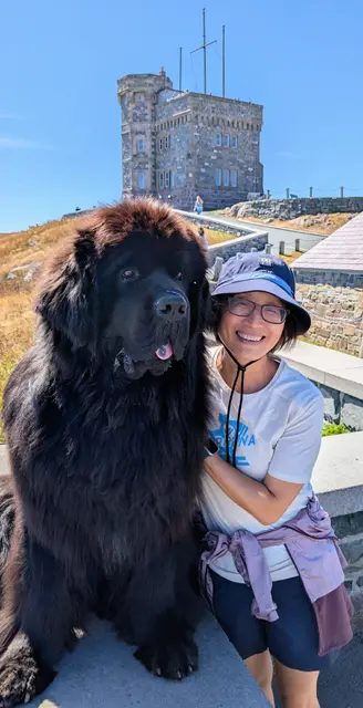 Newfoundland North Head Trail photo 9