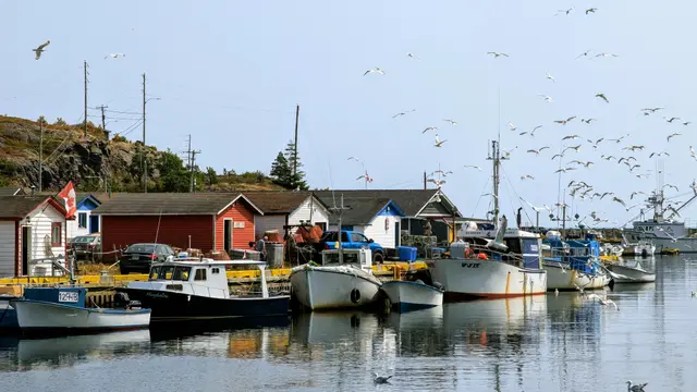 Newfoundland Southern Shore photo 4