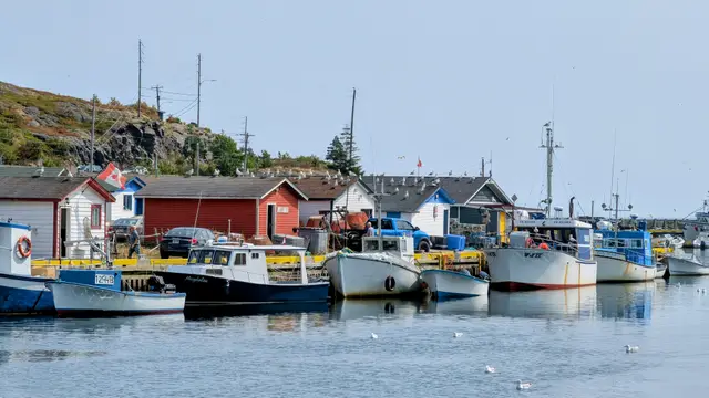 Newfoundland Southern Shore photo 5