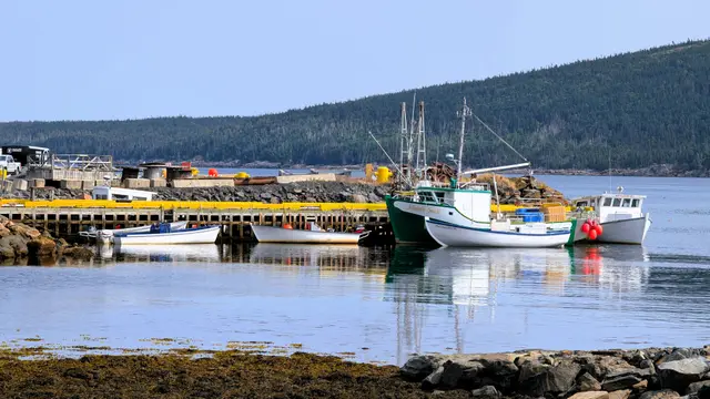 Newfoundland Southern Shore photo 23