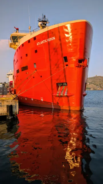 Newfoundland Downtown St. John's photo 22