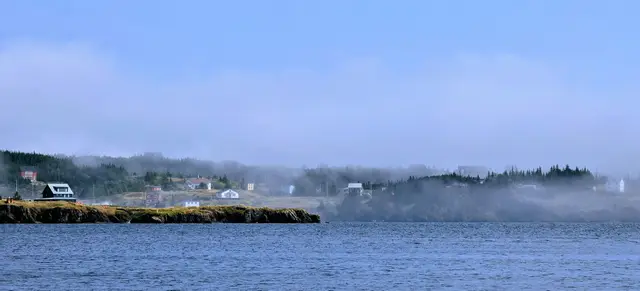 Newfoundland Trinity photo 1
