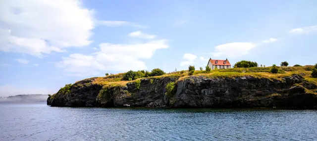 Newfoundland Trinity photo 2